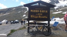 Passo Gavia
