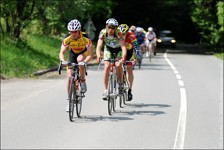 53x11 Marathon Cup - Kelly