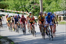 53x11 Marathon Cup - Kelly