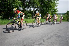 53x11 Marathon Cup - Kelly