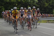 53x11 Marathon Cup - Kelly
